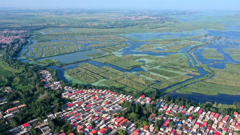 唐河入淀口湿地